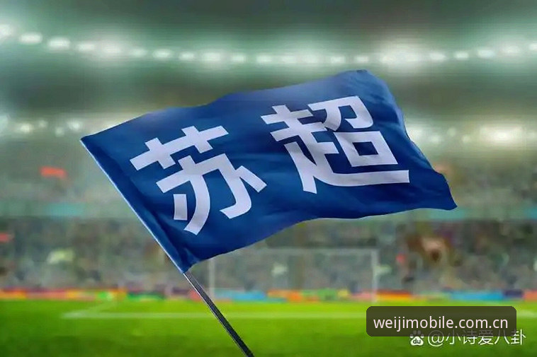 中国足协禁足令与维基体育手机版：体育伦理与观赛体验的鲜明对比
